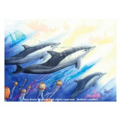Jérémie Lambert, illustrateur,, Exposition La Fontaine des Arts à Fouras